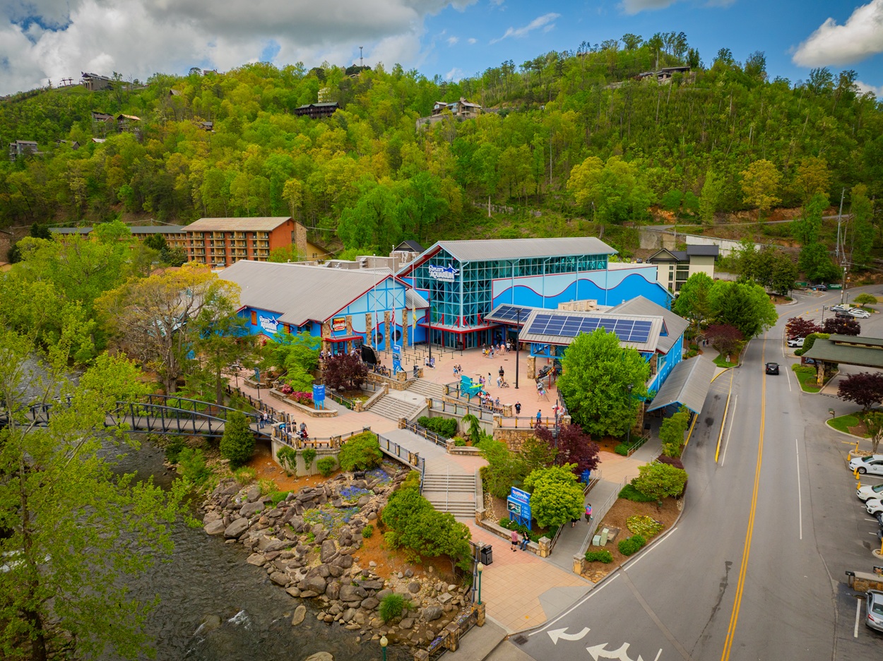 /shared/superadmin/content/images/dynamic/deal/9085176/offer-image-9085176-aqAmCCfUbU-1781723034.jpg
